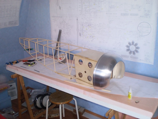 P8220025 (1).JPG