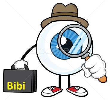 bibi.jpg