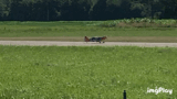 C8CEE0E0-0336-44B8-83BF-0C7BB5A1E4E0.gif