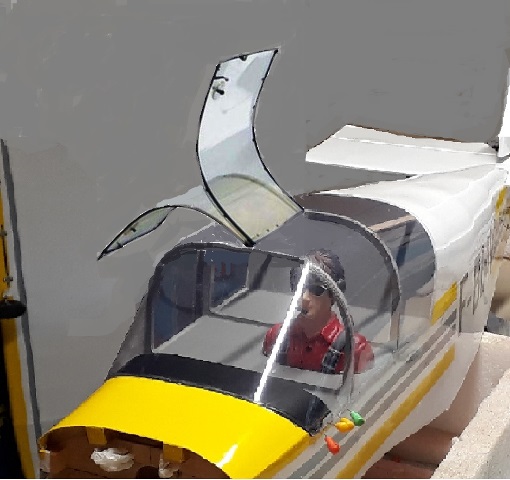 D112 avec verrière ouvrante.jpg