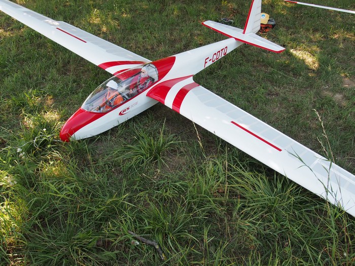 rene-ask13_05-08-2020_01 (Copier).jpg