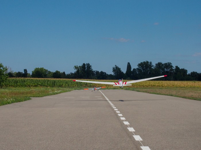 rene-ask13_05-08-2020_22 (Copier).jpg