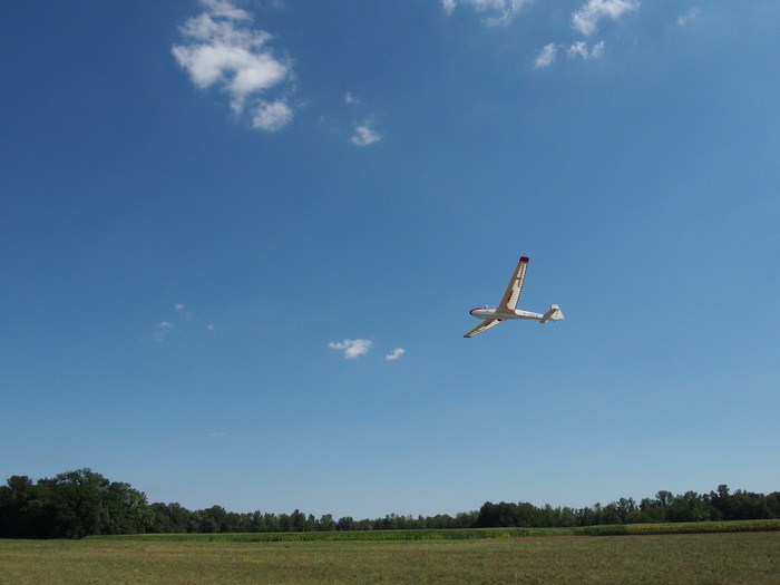 rene-ask13_05-08-2020_41 (Copier).jpg