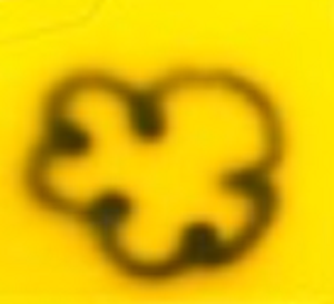 covid20.png