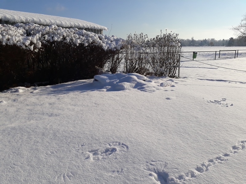 20210115_140016.jpg
