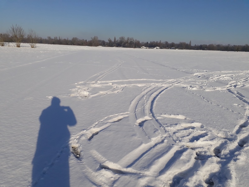 20210115_141719.jpg