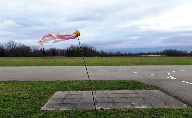 20210121_141859.jpg