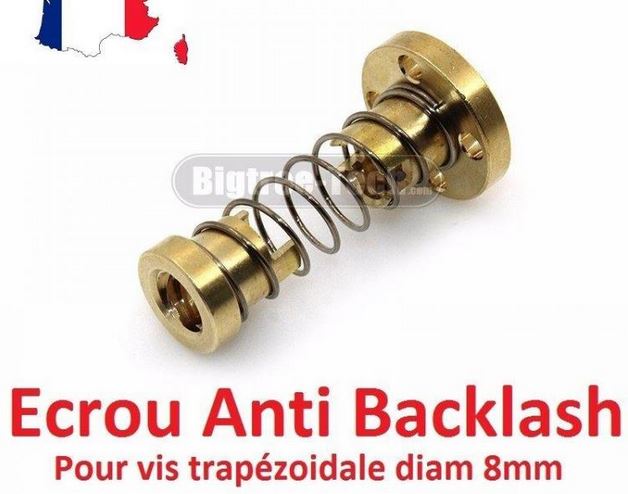 écrou anti backlash.JPG