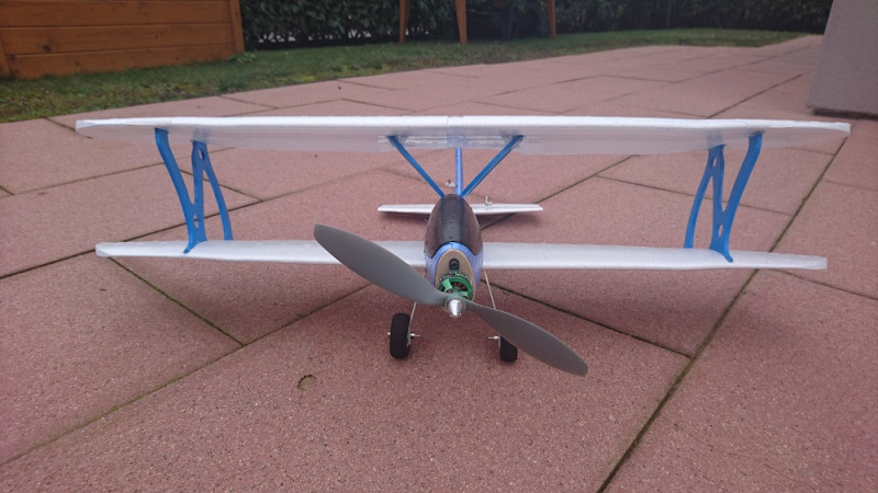 LDILBI DG FACE 1.0.jpg