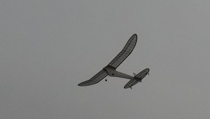 20140130_155559.jpg