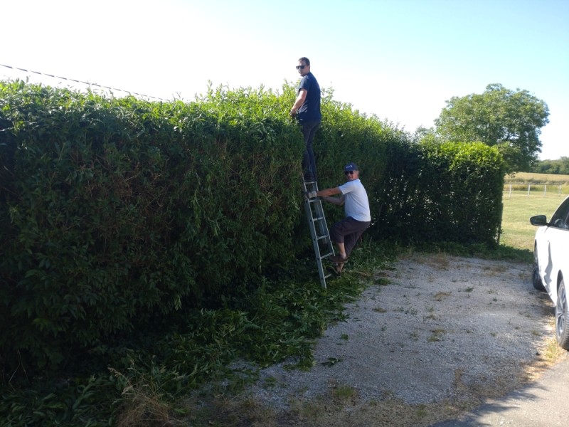 Bruno et Eric dans la haie.