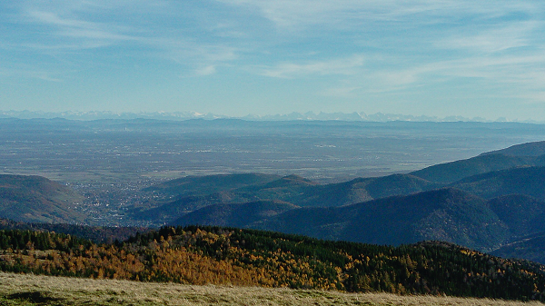 petit ballon 4 11 25 3.png