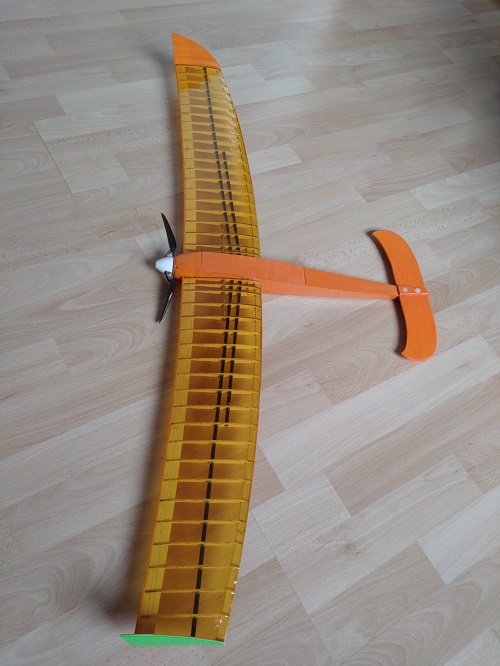 Canard à l'orange (1.0).jpg