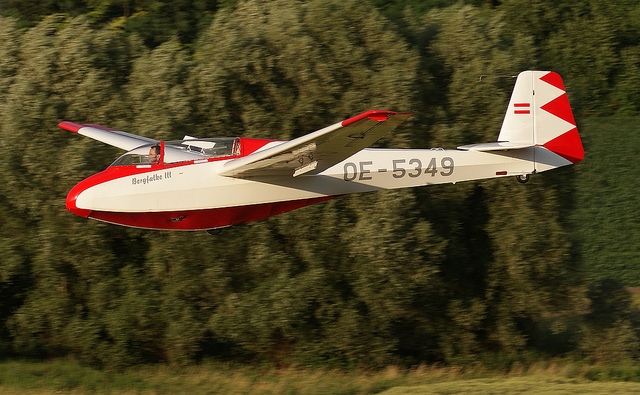 5962611046_7876ebf665_z.jpg
