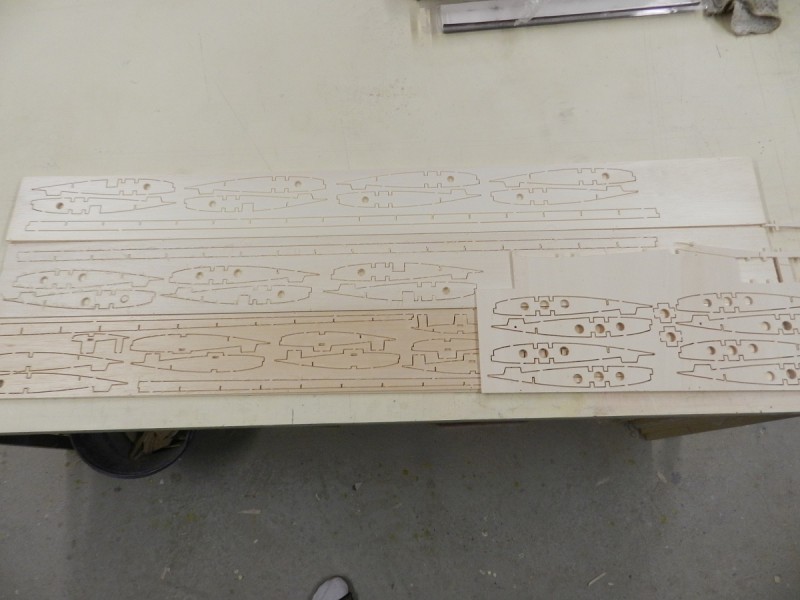planche nervures ailes.jpg