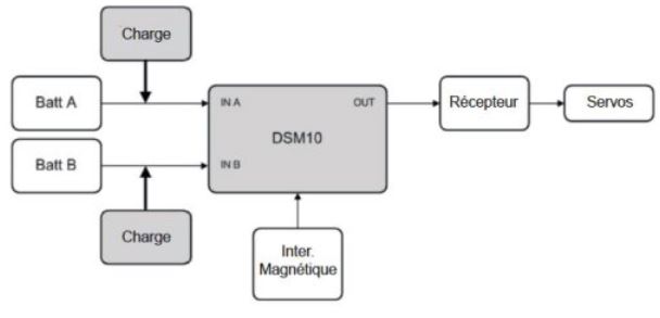 DSM 10 schéma.JPG