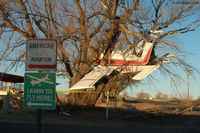 avion ds arbre.jpg