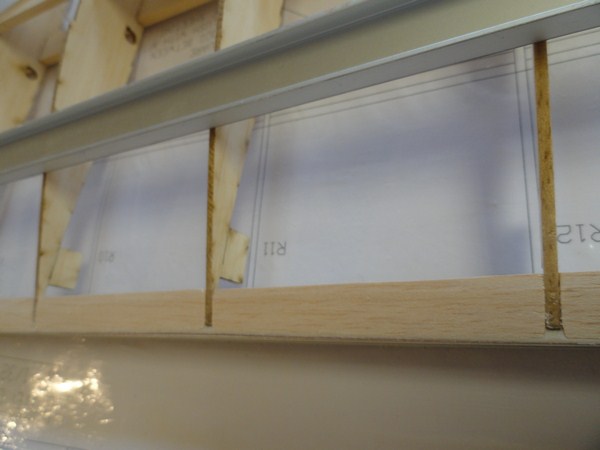 DSC01695 (Copier).JPG