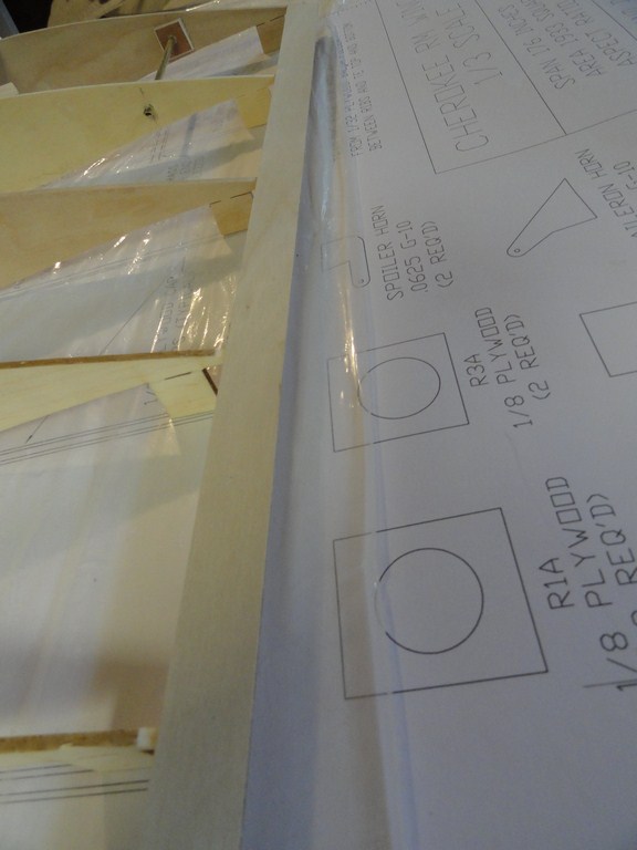 DSC01704 (Copier).JPG