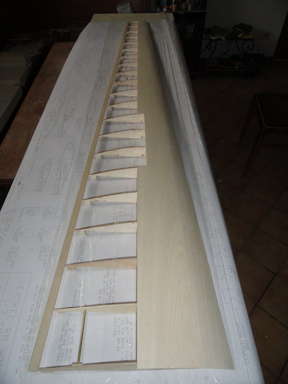 DSC01707 (Copier).JPG