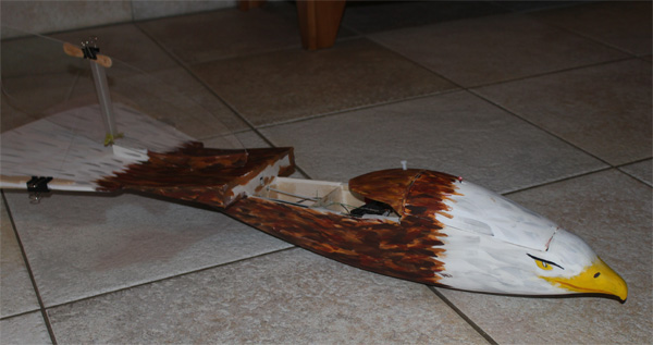 Horus_52.jpg