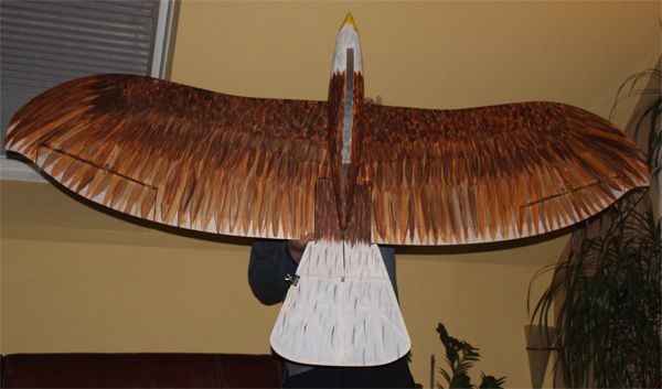 Horus_55.jpg