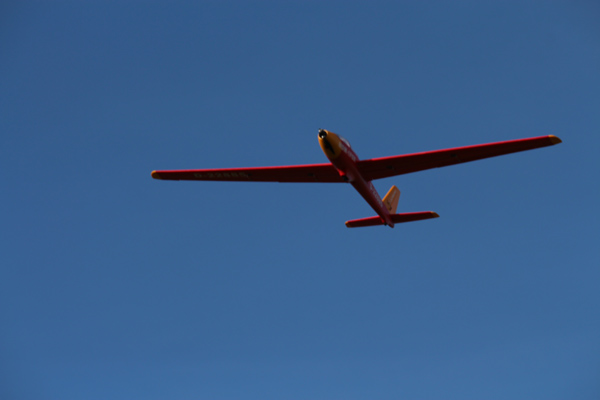 5_planeur_fox.jpg