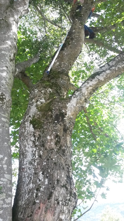20160803_164154.jpg