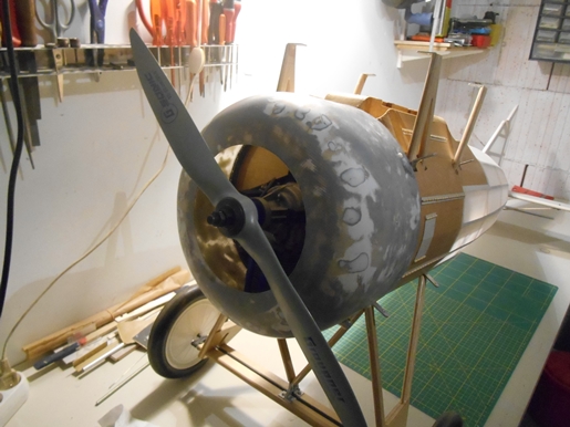 DSCN9081.JPG