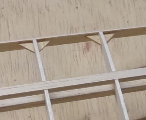 renforts nervures.JPG