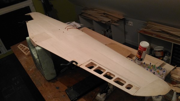 aile C 450 (Copier).jpg