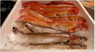 caisse_poisson.jpg