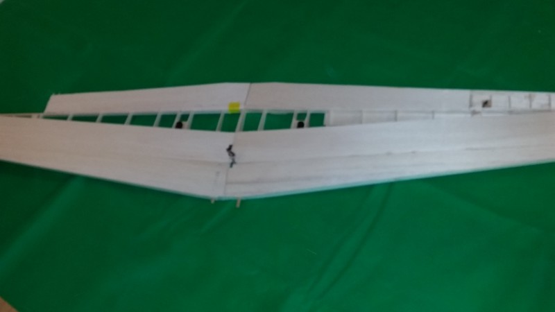 caudron 233 (Copier).jpg