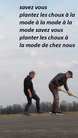 choux.jpg