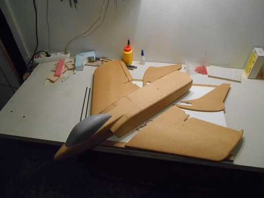 DSCN9106.JPG