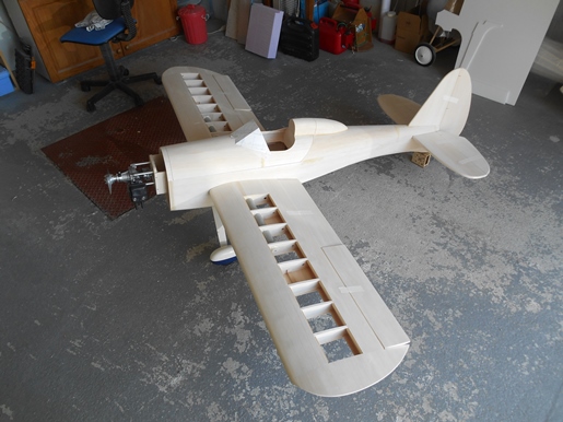 DSCN9181.JPG