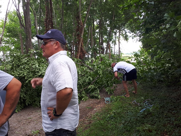 apres la tempete.jpg