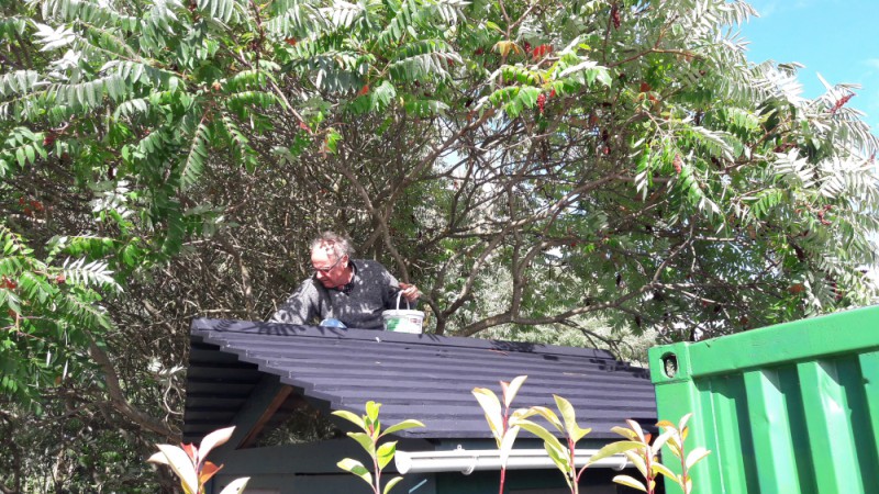 ALFRED POSE UNE 2eme COUCHE DE PROTECTION SUR LE WC,LE JOUR DE SON ANNIVERSAIRE.