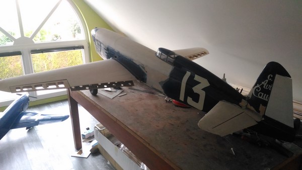 C450 mise en croix (Copier).jpg