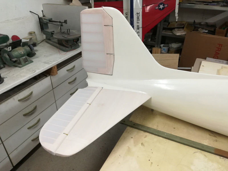 empennage entoilé_1.jpg