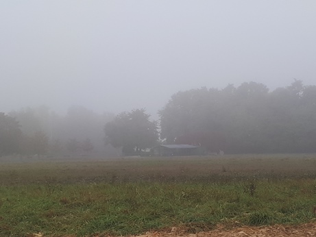 le terrain.jpg