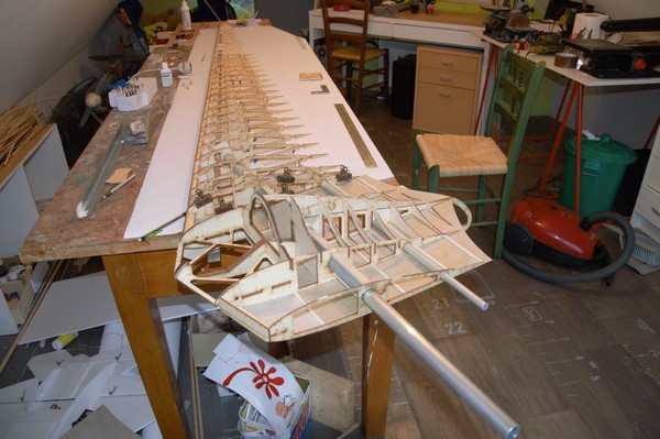 DSC_0238 (Copier).jpg