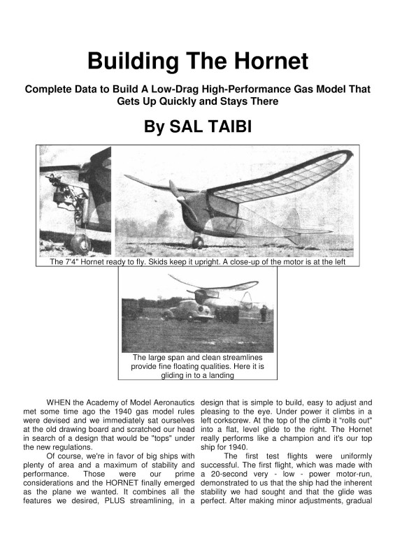 The Hornet-page-001.jpg