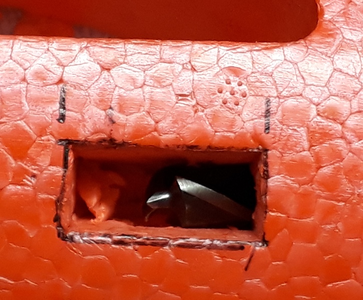 20190630_121528.jpg