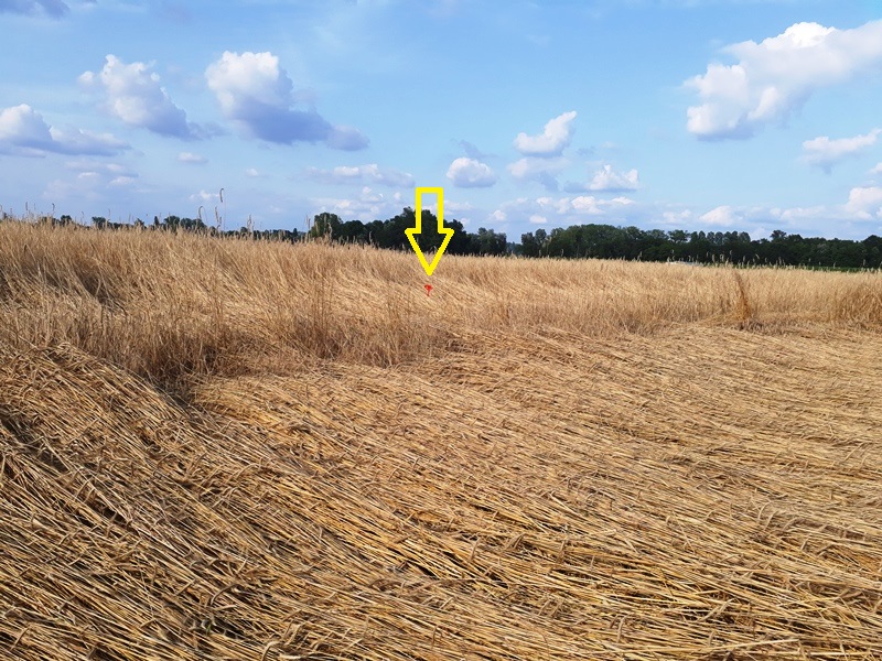 20190713_181604.jpg