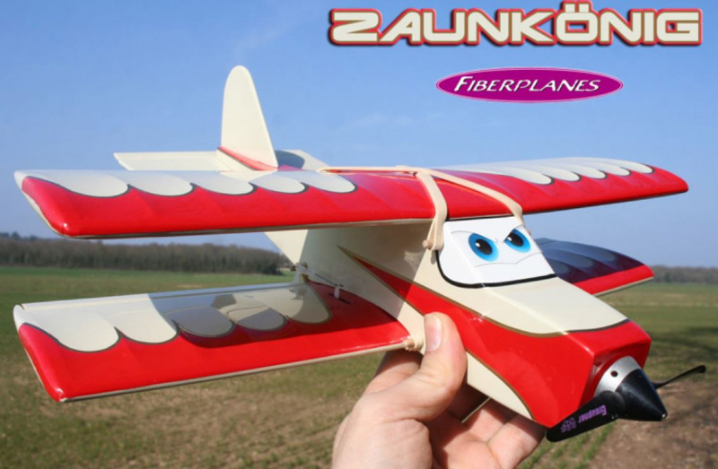 zaunkönig fiberplanes.JPG