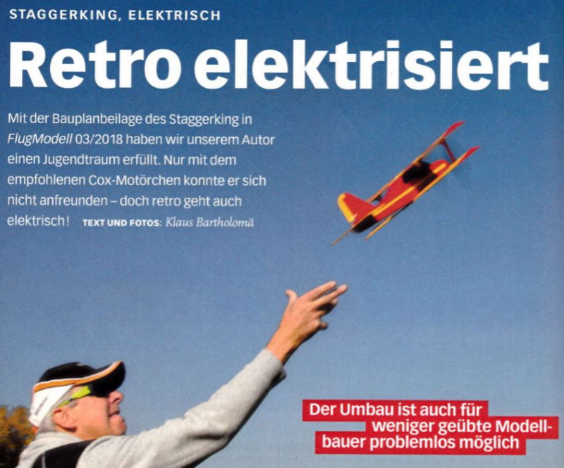 staggerking elektrisch 1.JPG