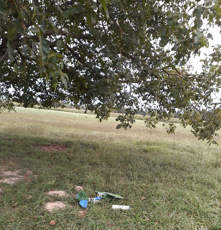 20190901_195419.jpg