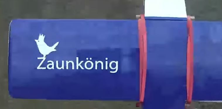 roitelet.JPG