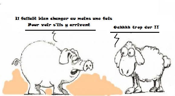 pp2.png